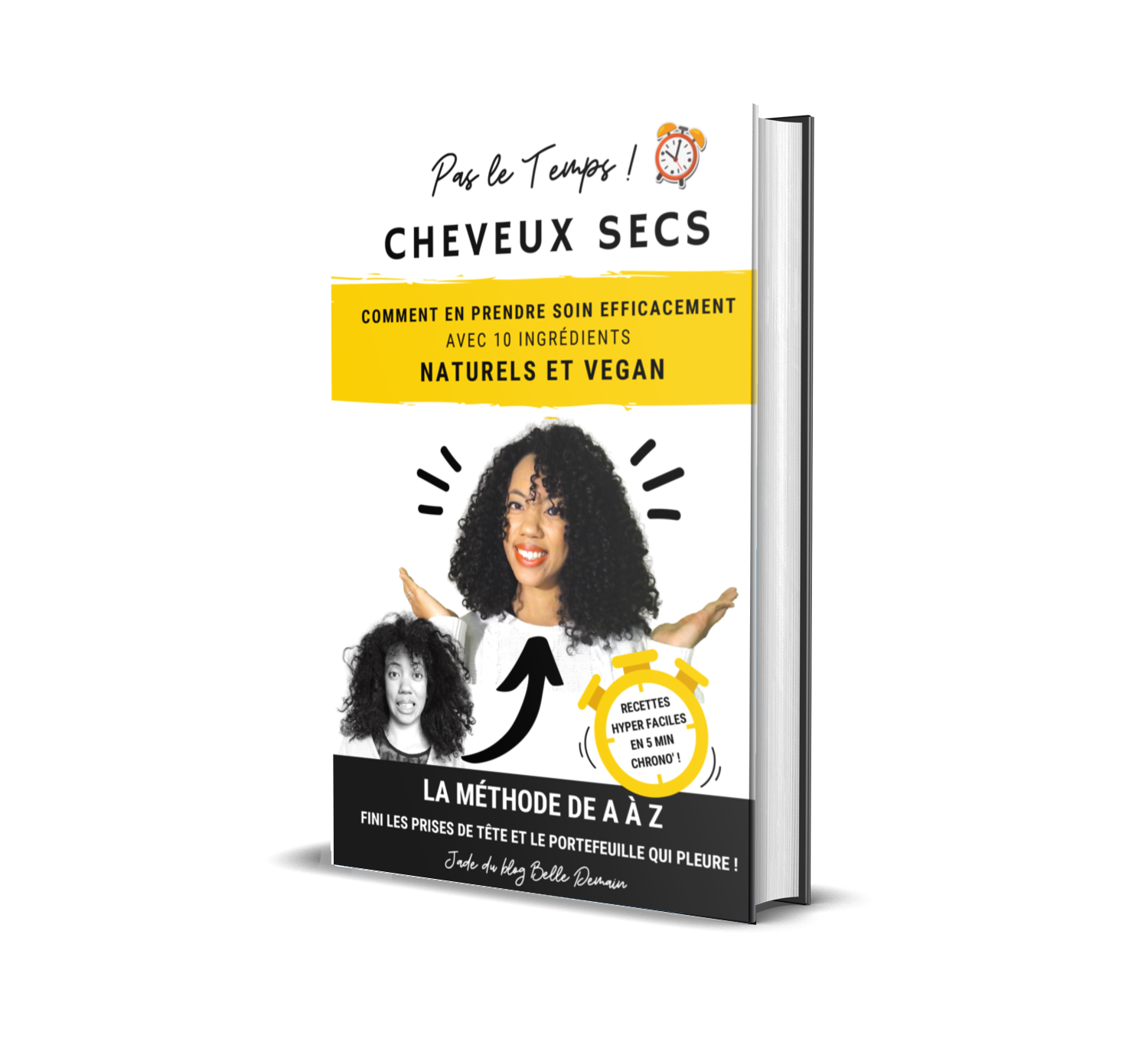 ebook soin cheveux secs